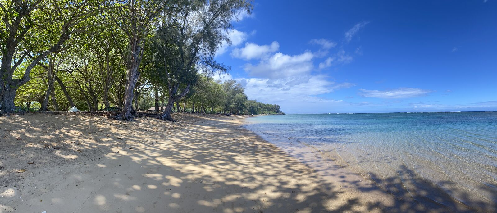 Tree-shaded white sand beach over a turquoise reef lagoon